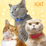 包邮 日本制造 iCat猫咪安全项圈 星空项圈x波点蝴蝶结