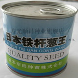 日本铁杆葱王种子 大葱种子 寿光主要出口内销大葱品种一亩地两桶