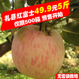 甘肃礼县红富士丑苹果冰糖心阿克苏苹果新鲜水果5斤小果烟台包邮