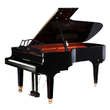 【温韵琴行】全新正品海伦钢琴文德隆三角钢琴奥地利进口钢琴W218
