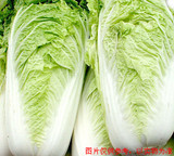 【广惠】 天津 蔬菜配送 新鲜蔬菜 大白菜同城送货 网上买菜 送货
