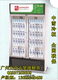 中雪冷柜LG4-518F立式冰柜|风冷双门冷藏展示柜|商用保鲜冰箱冰柜
