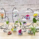 创意透明玻璃花瓶居家摆放水培花瓶现代简约桌面花瓶小鱼缸摆件