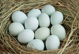 怡家 正宗骆马湖鸭蛋 地方特产 生态健康绿色 新鲜鸭蛋 土鸭蛋