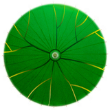 江南油纸伞|绿色荷叶|古典防雨江南风情舞蹈伞|装饰伞|时尚雨伞