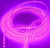 3528/60珠 高压 贴片灯带 紫光 LED灯带 软条灯 暗槽软灯条