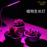 USB led植物生长灯 室内仿太阳光补光灯 全光谱 花卉 多肉红蓝灯