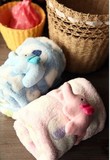 小可爱大象午睡毯被子午休毛毯子婴儿童珊瑚绒毯子汽车办公空调毯