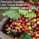 印尼苏门答腊塔瓦湖绿宝石曼特宁精品咖啡豆｜醇厚焦糖甜感如糖浆