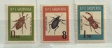 ■■阿尔巴尼亚1963昆虫三枚贴票，目录10美元■■