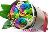 特价3支七彩玫瑰北京鲜花速递教师节鲜花预订求婚鲜花爱情