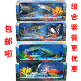 包邮儿童礼物海洋动物玩具大白鲨鱼虎鲸章鱼海豚玩具模型礼盒装