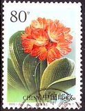 编年2000-24君子兰4-1信销80分邮票拍下6个品种信销散票包邮