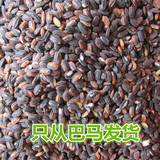 巴马杂粮农家黑粳米黑糯米紫米黑米黑梗米糙米 稀有品种颗大粒满
