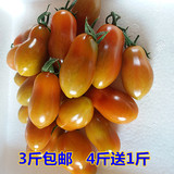 包邮新鲜水果丹东草莓地小番茄409小柿子圣女果油柿子铁皮柿子