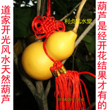 道家开光风水100%天然葫芦真葫芦木葫芦挂件摆件带中国结大中小号