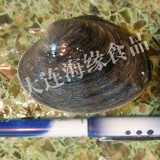 大连渤海海鲜 鲜活天鹅蛋 新鲜紫石房蛤 大蛤蜊 活贝发货1斤5-7只