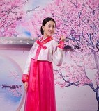 民族服装 女传统韩服 朝鲜族舞蹈服 舞台装成人大长今表演服