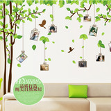 卧室客厅沙发电视背景大面积绿色照片相片树墙贴纸 超大号2拼包邮