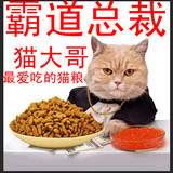 特价10斤 营养猫粮深海鱼肉味5kg成猫幼猫粮猫主粮海鲜味包邮批发