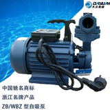 正宗浙江大元自吸泵220V家用抽水泵增压微型循环电动太阳能水泵