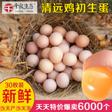 清远鸡草鸡蛋新鲜农家散养农村初生蛋有机土鸡蛋初产蛋柴鸡蛋30枚