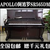 日本原装精品二手钢琴 APOLLO阿波罗SR565  3S雷诺机芯 演奏琴