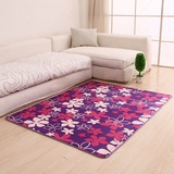 新款珊瑚绒四季地毯客厅卧室床边地毯满铺长方形大地毯榻榻米定制