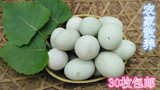 洪湖美善农家30枚绿皮鸭蛋 散养 土鸭蛋 新鲜 绿色  原生态