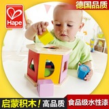 Hape婴儿木制积木拼搭玩具手敲琴台小木琴儿童益智玩具磁性钓鱼玩