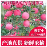 苹果红富士水果 新鲜陕西洛川有机农家纯天然冰糖心8斤批发包邮