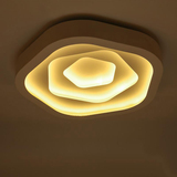 玫瑰花LED吸顶灯花形个性卧室灯创意客厅灯具房间灯温馨浪漫遥控