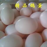 精品鸽蛋/鸽子蛋 受精蛋 健康鸽蛋/不新鲜破损包赔 30个起包邮