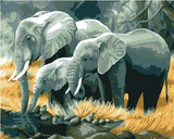 数字油画diy正品包邮 客厅动物手绘画 大象/吉祥和美40*50/60*75