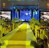 闪光地毯 星光地毯 舞台 珠光地毯 T台 婚庆道具 批发 1.4米宽
