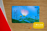 [日本田村卡]日本电话磁卡 NTT收藏卡 花卉331249