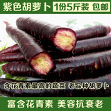 紫色胡萝卜新鲜黑色胡萝卜山东特产老品种含花青素蔬菜5斤装包邮