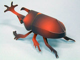 手工DIY 益智玩具 仿真昆虫 甲壳虫 甲虫 爬虫 3D立体拼装纸模型