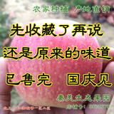 陕西秦冠苹果粉面甜不脆新鲜水果10斤冰糖心特价秦冠苹果包邮促销