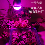 家用大功率3W LED植物照明生长幼苗多肉 花草 蔬菜育苗等植物灯