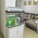 小鱼 鱼缸 生态水族箱/大中型鱼缸玻璃80/1米/1.2米 LED灯
