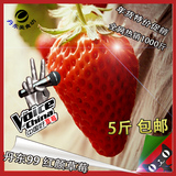 丹东马家岗九九新鲜奶油草莓水果 有机牛奶草莓红颜 包邮 5斤