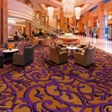 天雅 尼龙印花 满铺地毯 宾馆酒店饭店地毯 大堂地毯 工程地毯