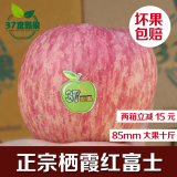 【37度甄果】山东烟台水果苹果栖霞红富士85大果十斤包邮