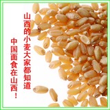 山西特产 小麦 麦粒 带皮小麦仁 杂粮 麦子  培养小麦草的种子