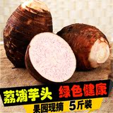 广西桂林特产新鲜香芋粉糯 正宗荔浦芋头绿色农产品5斤装包邮