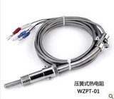 压簧式热电阻 热电偶 Pt100 温控仪探头 传感器WZPT-01