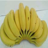 高州农家新鲜香蕉纯天然自然熟青香蕉水果banana 5斤特价包邮