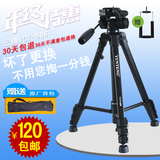 佳能三脚架单反照相机摄影摄像机700D 70D 750D60D600D6D三角支架