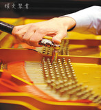 南京钢琴调音 南京钢琴调律 南京钢琴维修 高级调律师上门服务